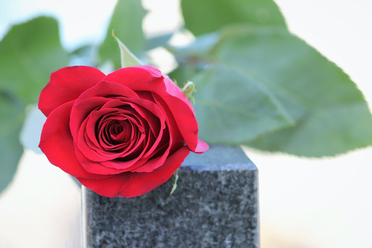Do Symbols Hold a Philosophical Meaning?